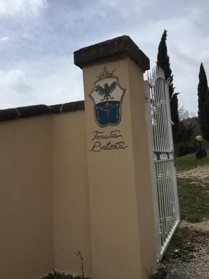 Podere Poggio Lupinaio San Martino sul Fiora 外观 照片