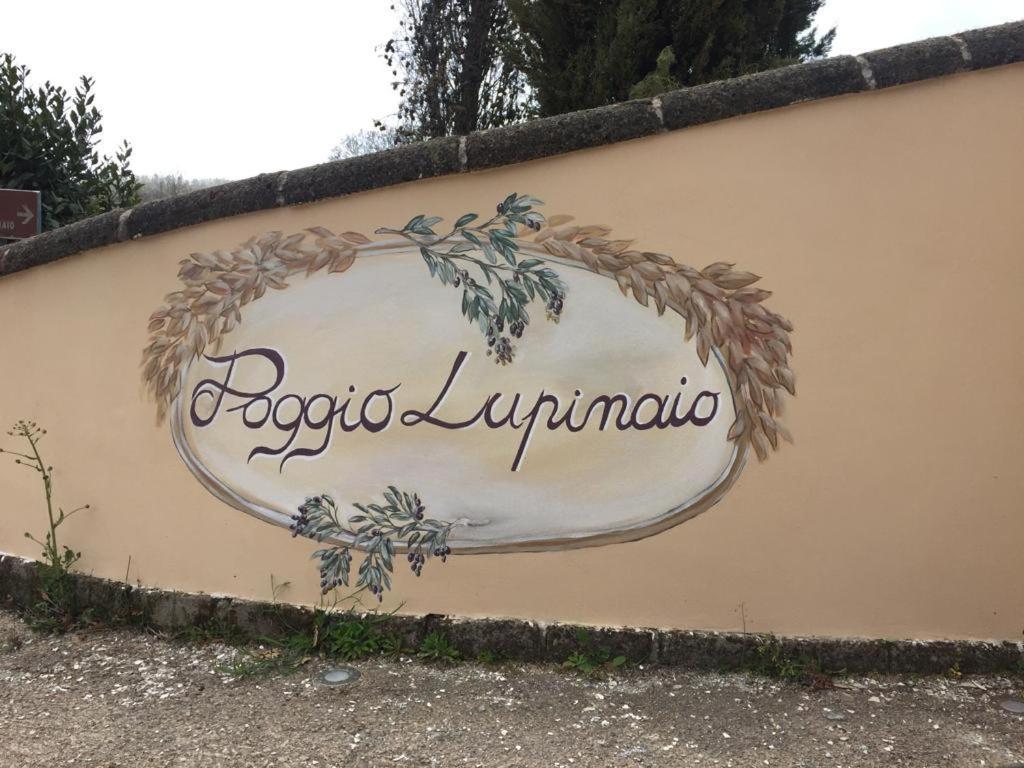 Podere Poggio Lupinaio San Martino sul Fiora 外观 照片