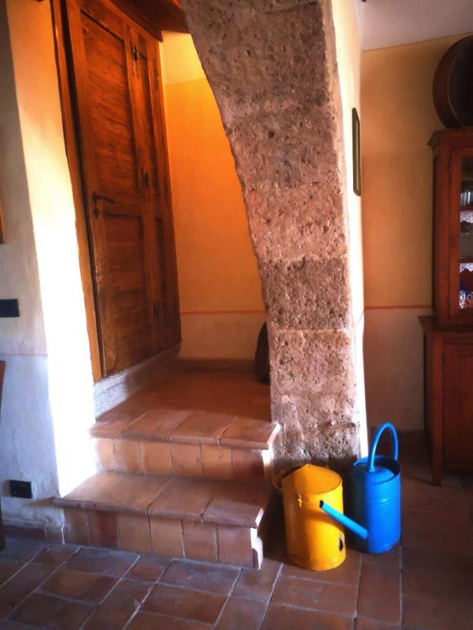 Podere Poggio Lupinaio San Martino sul Fiora 外观 照片